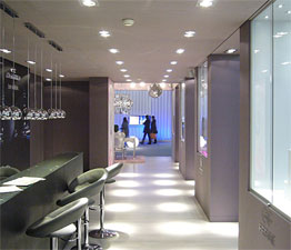 Paris Hilton, Baselword 2011, Basel